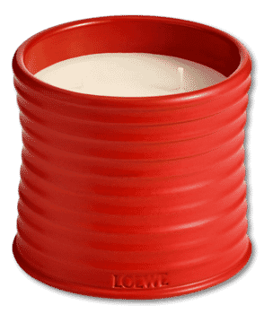 LOEWE Medium Tomato Leaves Candle 610g